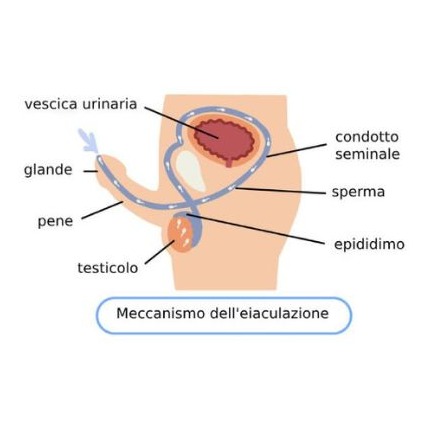 Eiaculazione dolorosa