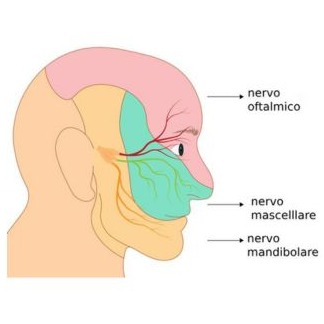 Infiammazione del nervo trigemino